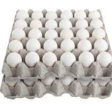 Poultry Egg 30 pcs